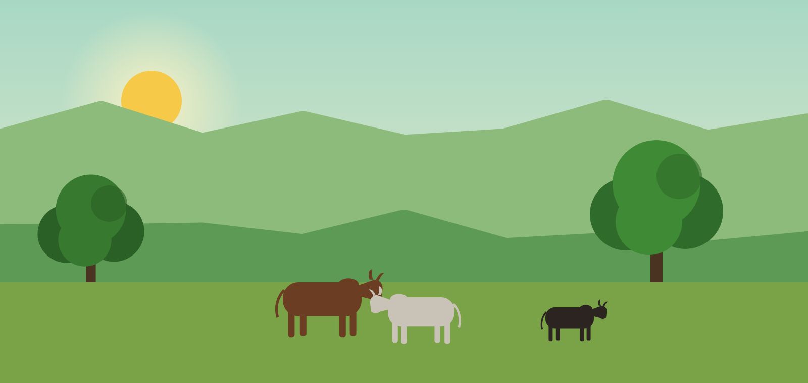Cows resting in the sanctuary grove